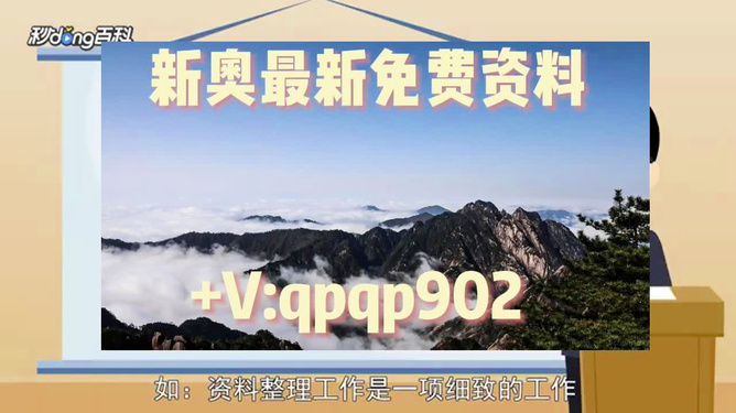 2024年新奥正版资料免费大全,数据导向设计方案_S45.785