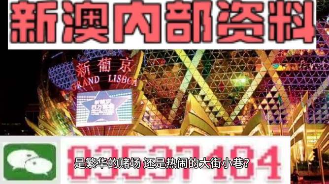 新澳门精准资料大全管家婆料,全面解答解释落实_经典款52.53