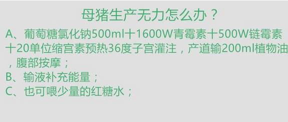 新澳正版资料免费提供,广泛的解释落实支持计划_尊享款70.404